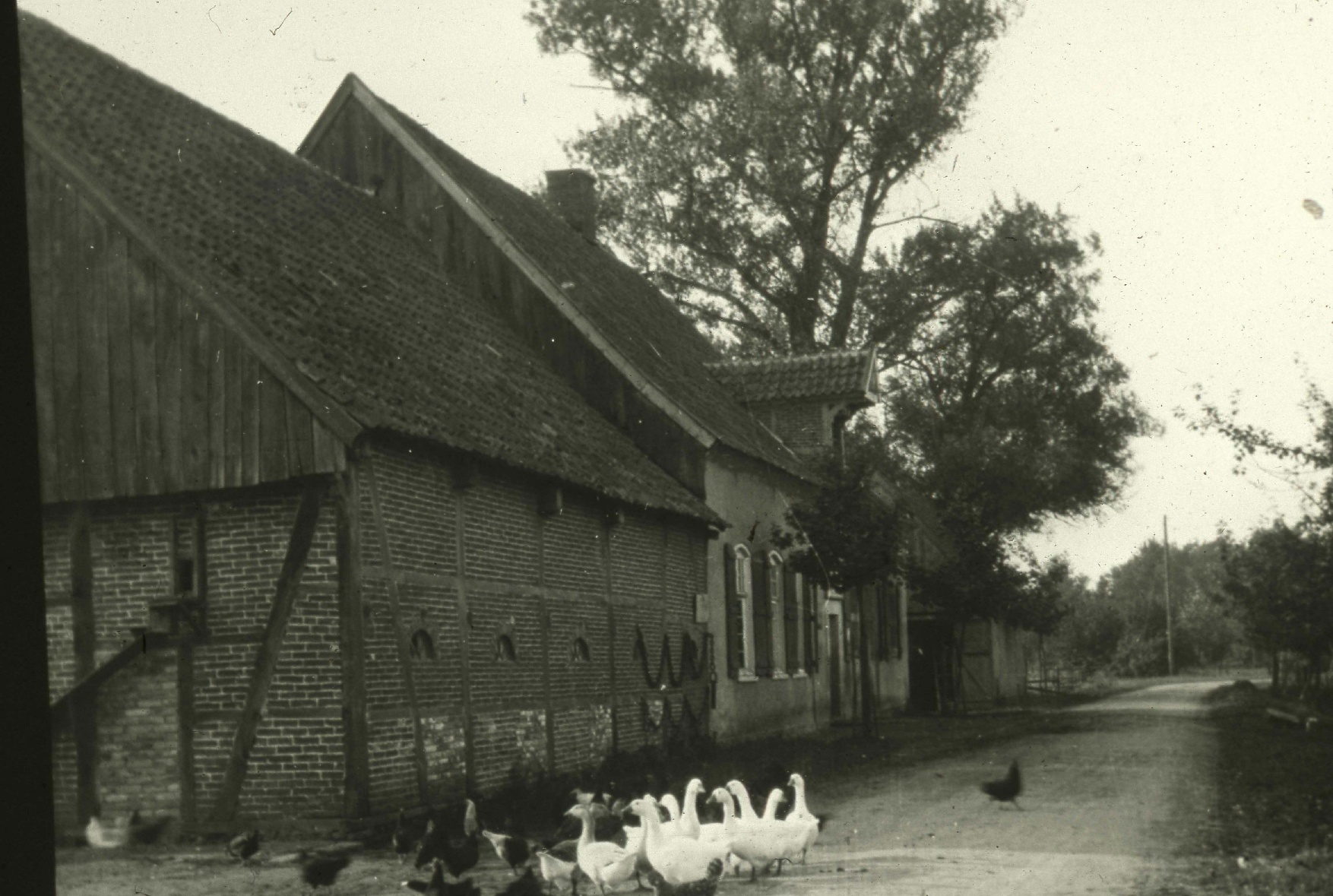 Clemenshafen Clemenshafen